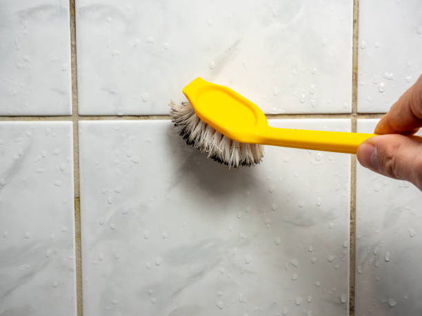 Best Mold Damage Repair  in Goose Creek, SC