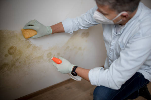 Water Damage Restoration in Goose Creek, SC