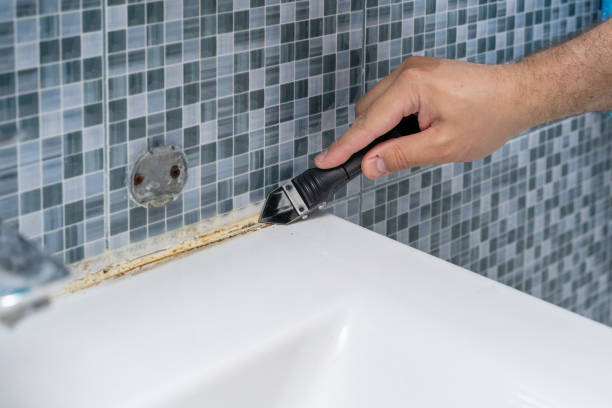 Best Attic Mold Removal  in Goose Creek, SC